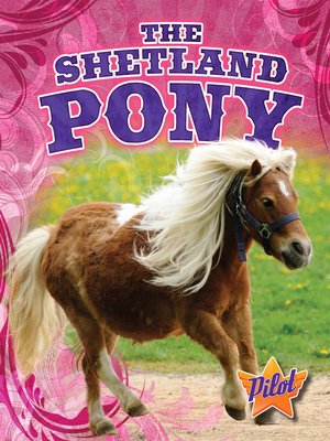 cover image of The Shetland Pony